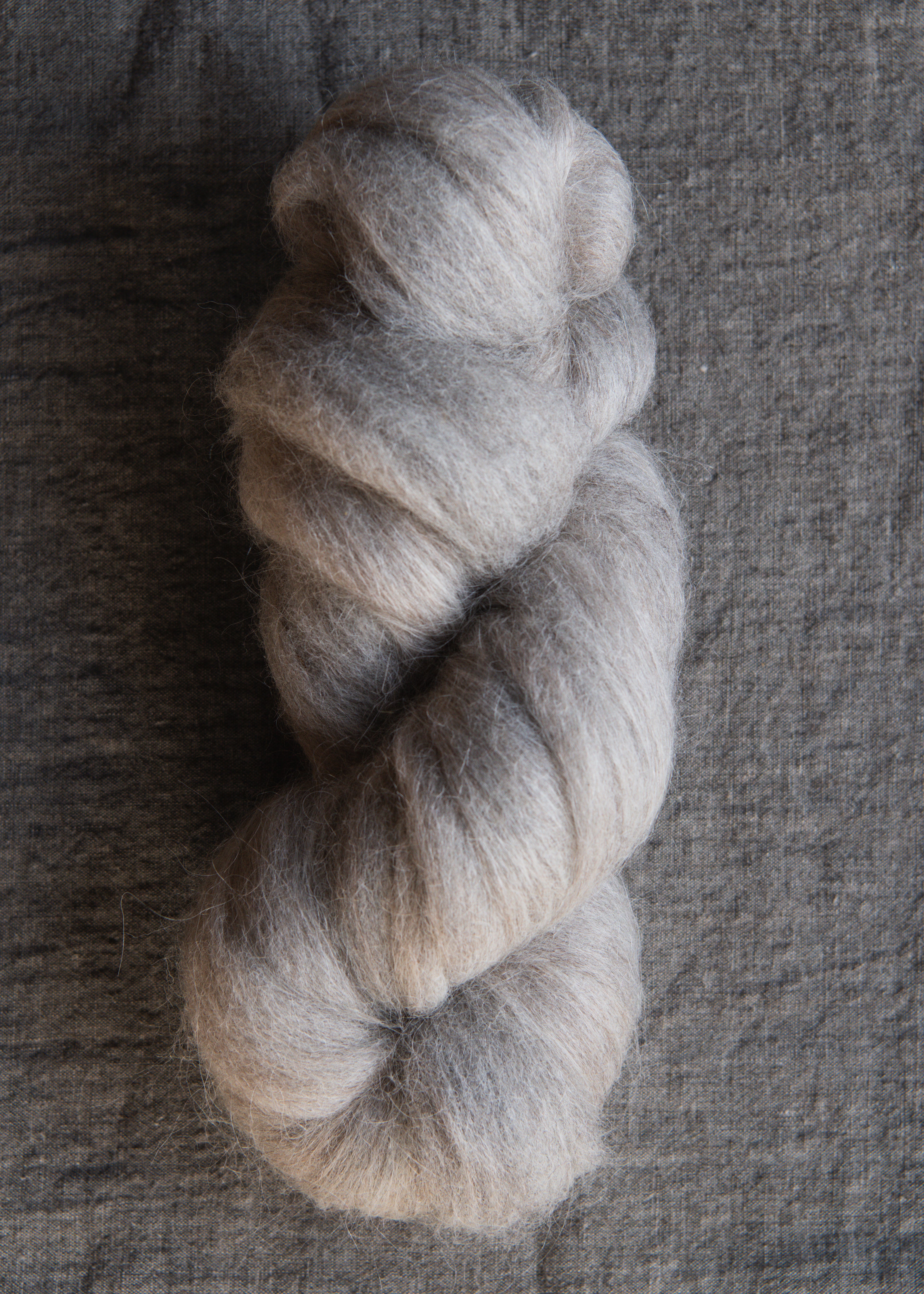 12 - Jacob + Llama Roving