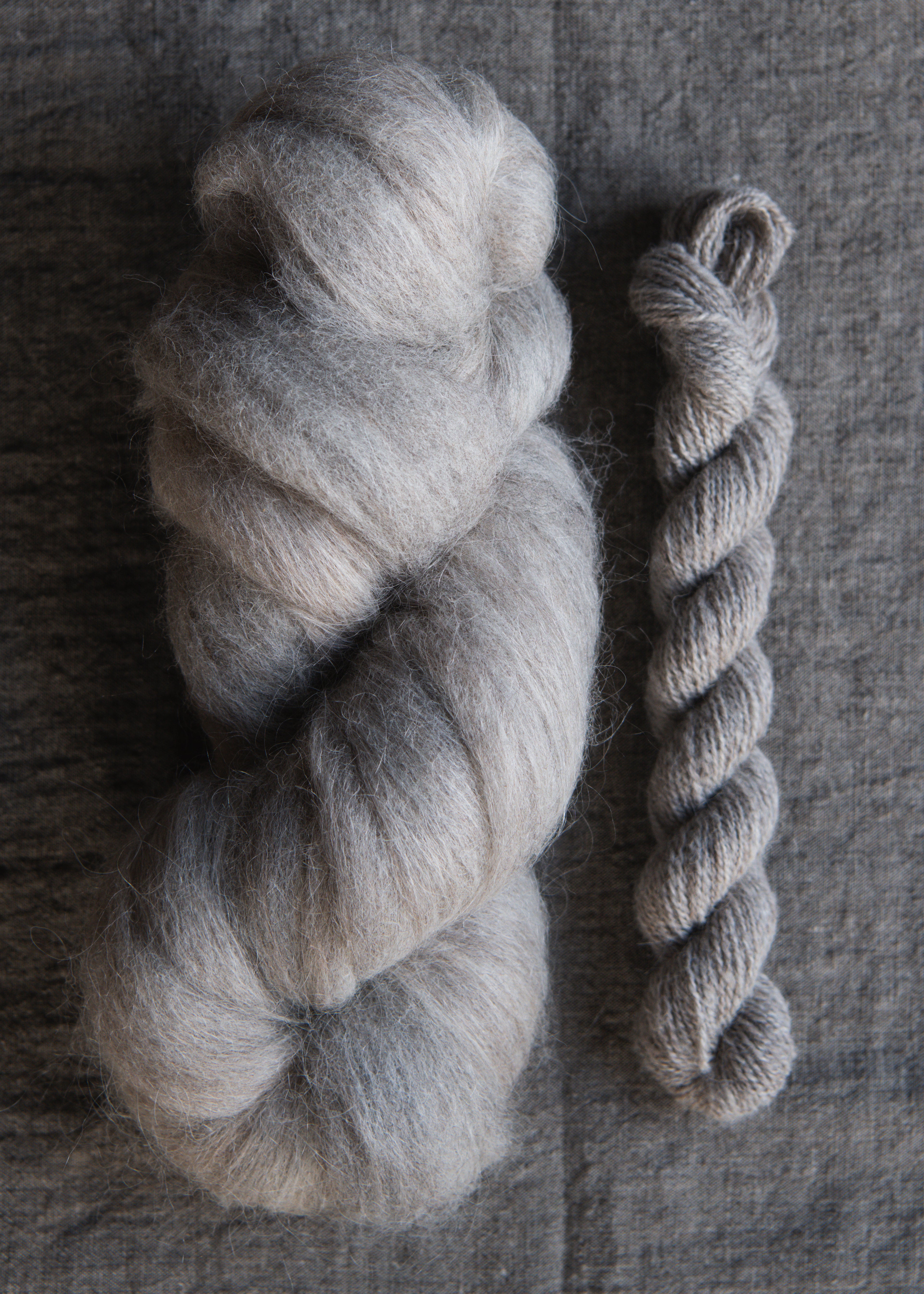 12 - Jacob + Llama Roving