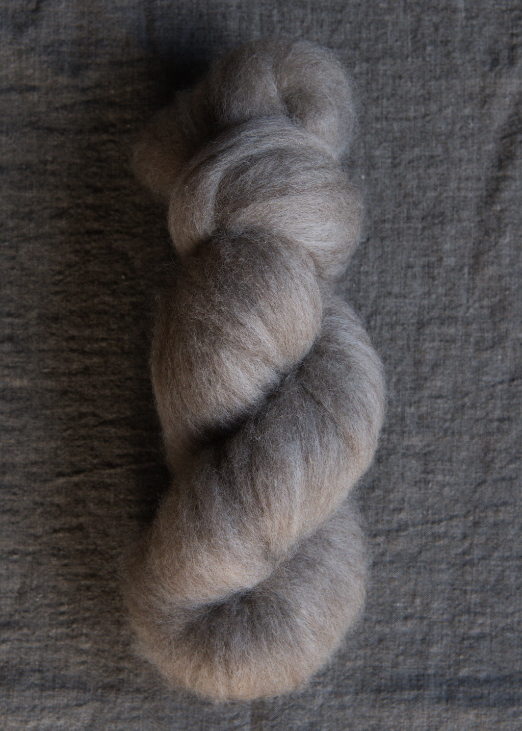 09 - Luna Dorset X Roving