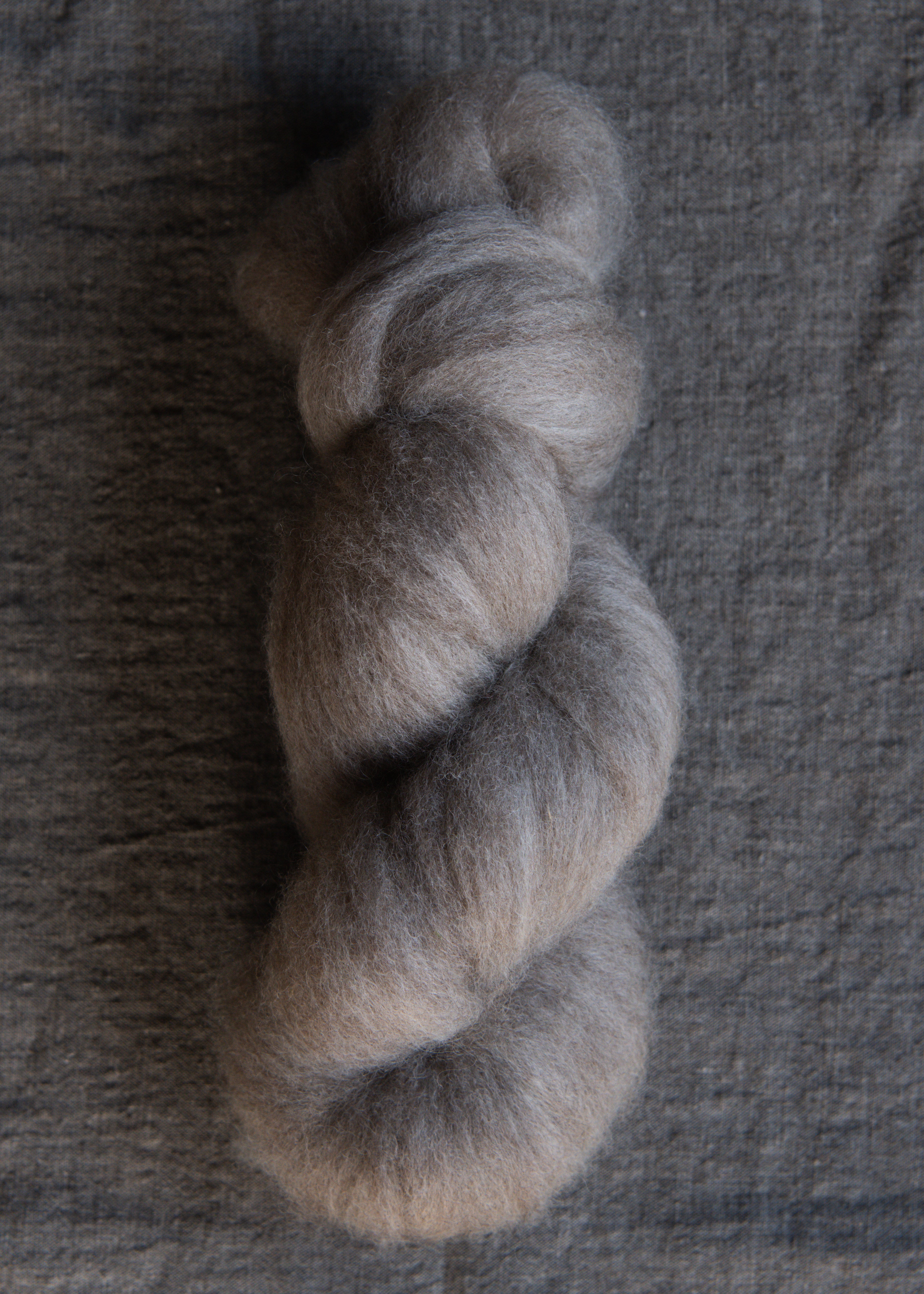 09 - Luna Dorset X Roving