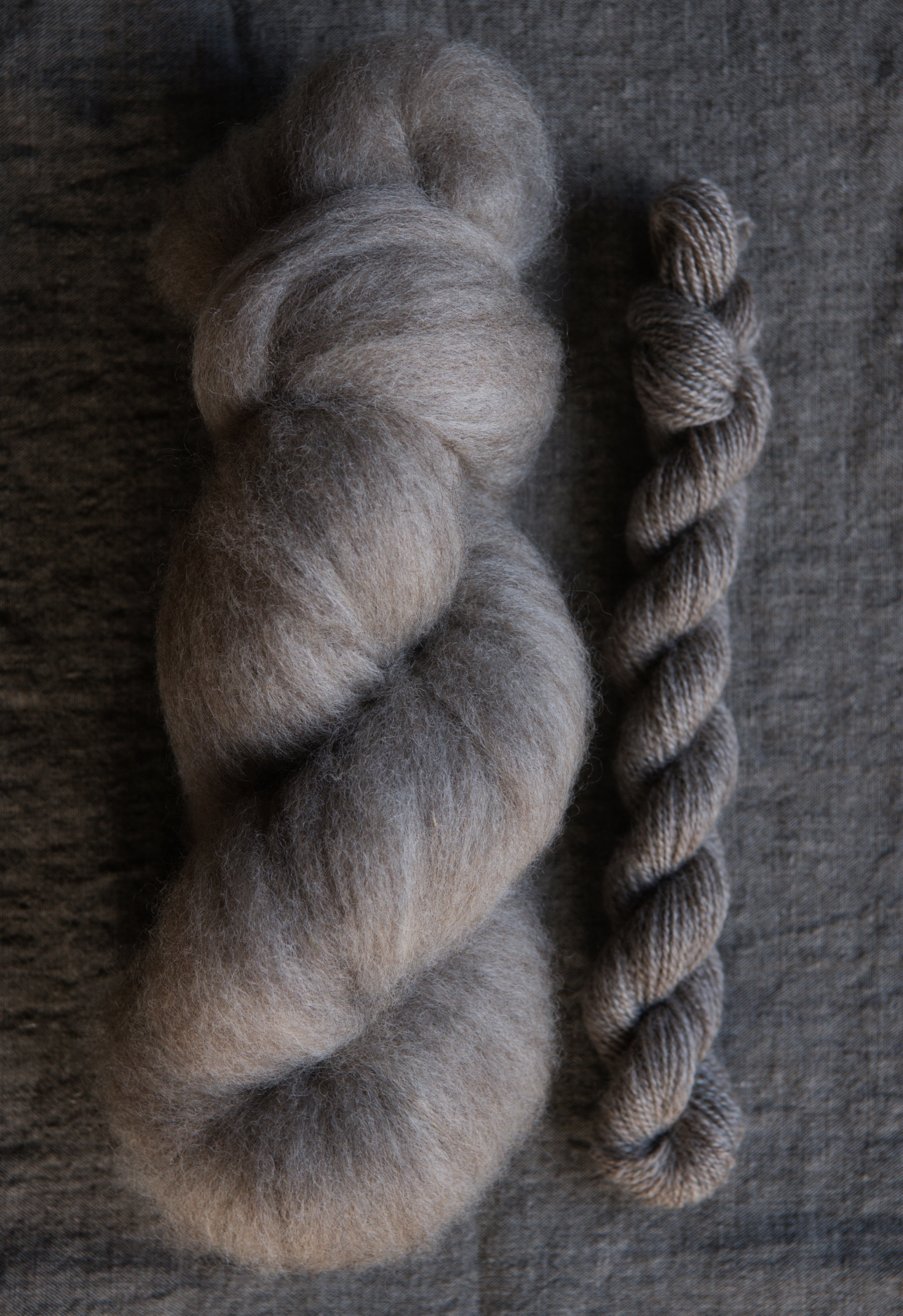 09 - Luna Dorset X Roving