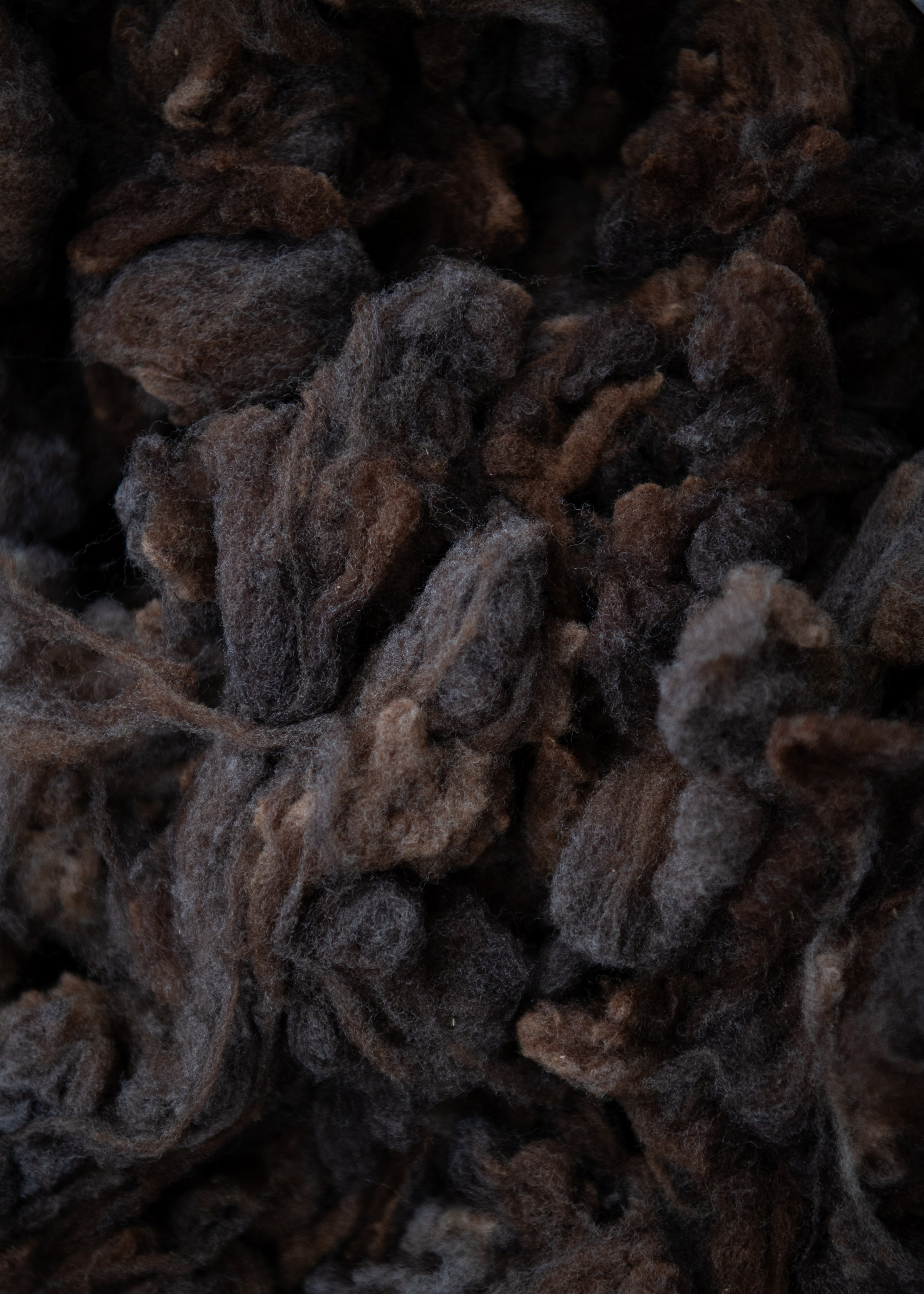 16 - Romeldale Scoured Wool (Geneva)